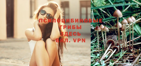 первитин Алексеевка