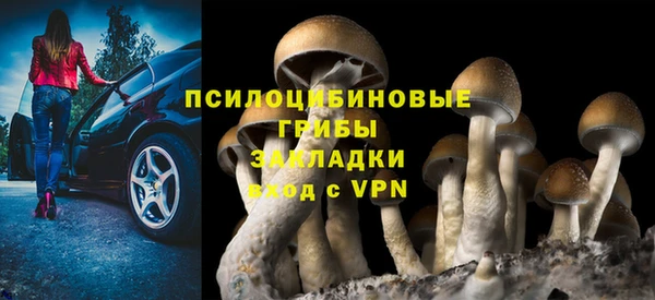 сатива Алексин