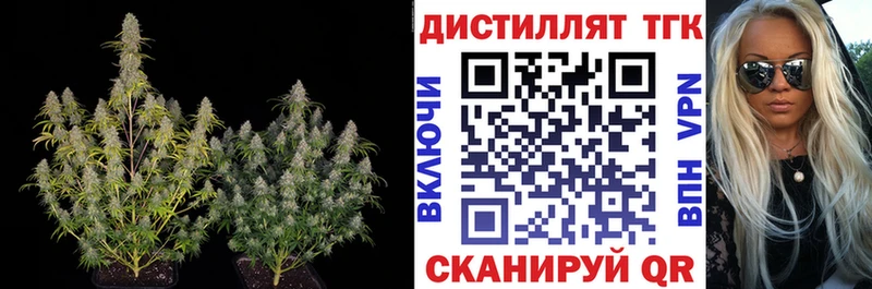 ТГК THC oil  hydra как зайти  Сасово  цены  